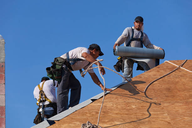 Best Flat Roof Repair Services  in Grosse Pointe, MI