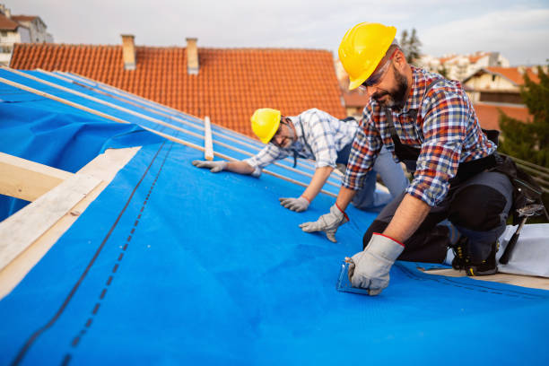 Roof Gutter Cleaning in Grosse Pointe, MI