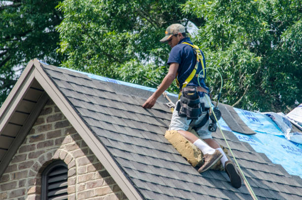 Best Local Roofing Companies  in Grosse Pointe, MI